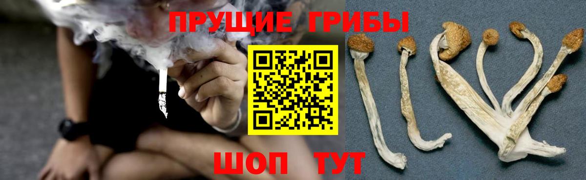 Псилоцибиновые грибы мицелий Тольятти